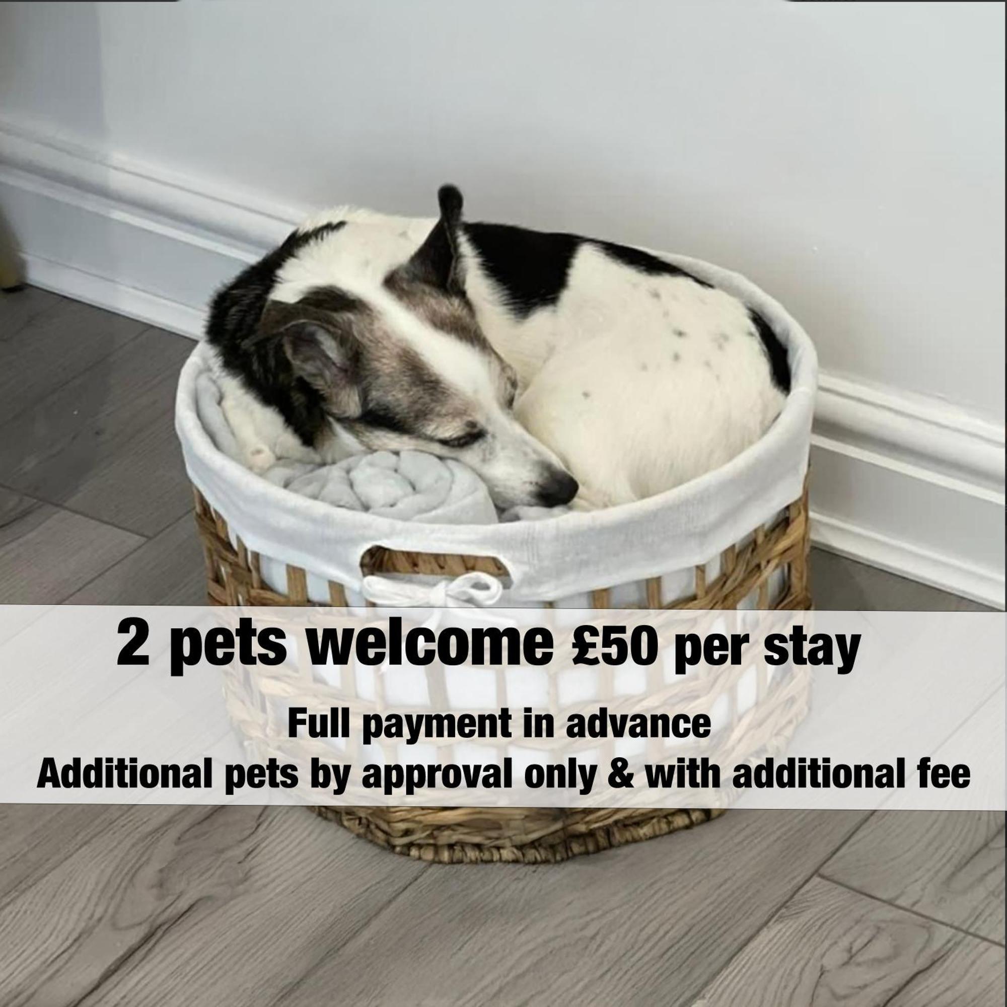Appartement Brislington Base Super Convenient In South West By Staystaycations *